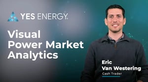 eric van westering video cover